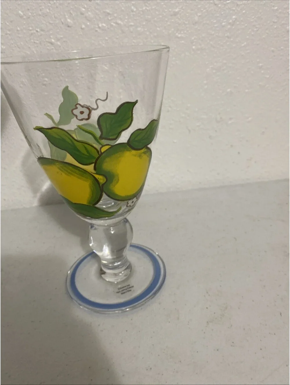 Glass Hand Painted Fruit  Water Juice Pitcher Glasses Fall Summer Colorful Clear